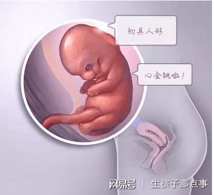 层流实验室